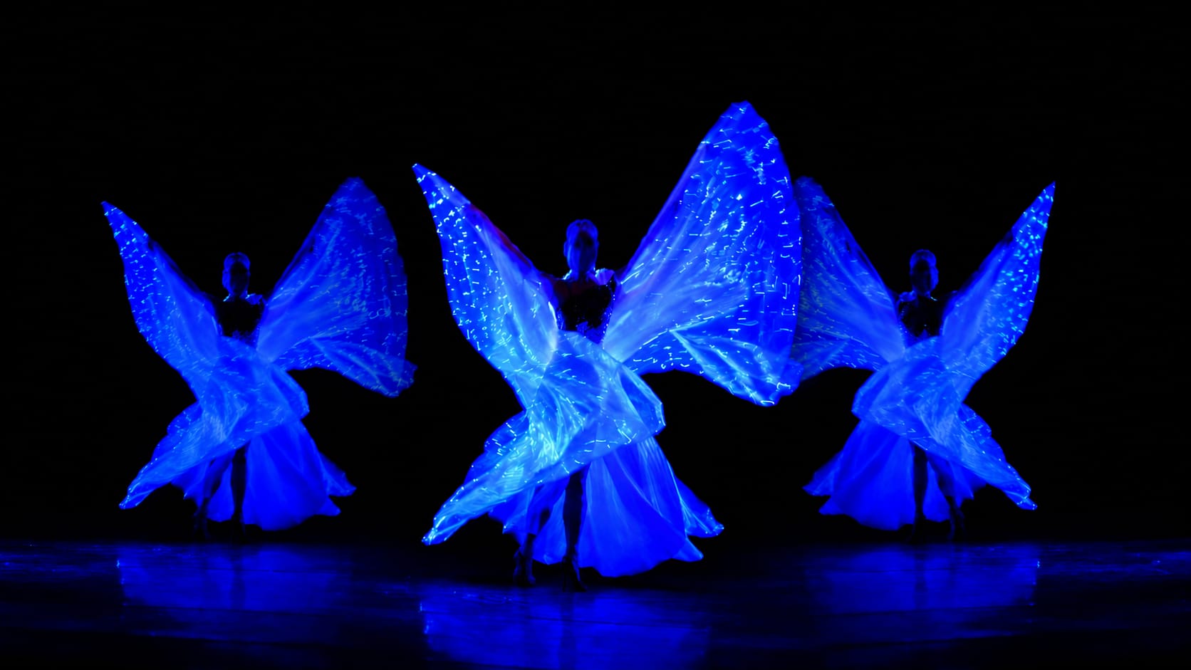 Led Wings Performance